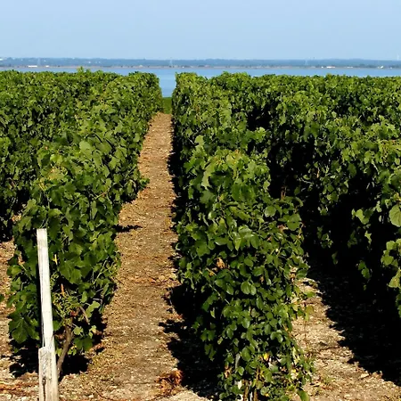 ホリデーパーク Vvf Bordeaux Medoc スラック・シュル・メール