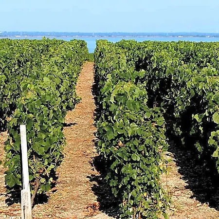 Vvf Bordeaux Medoc 假日公园